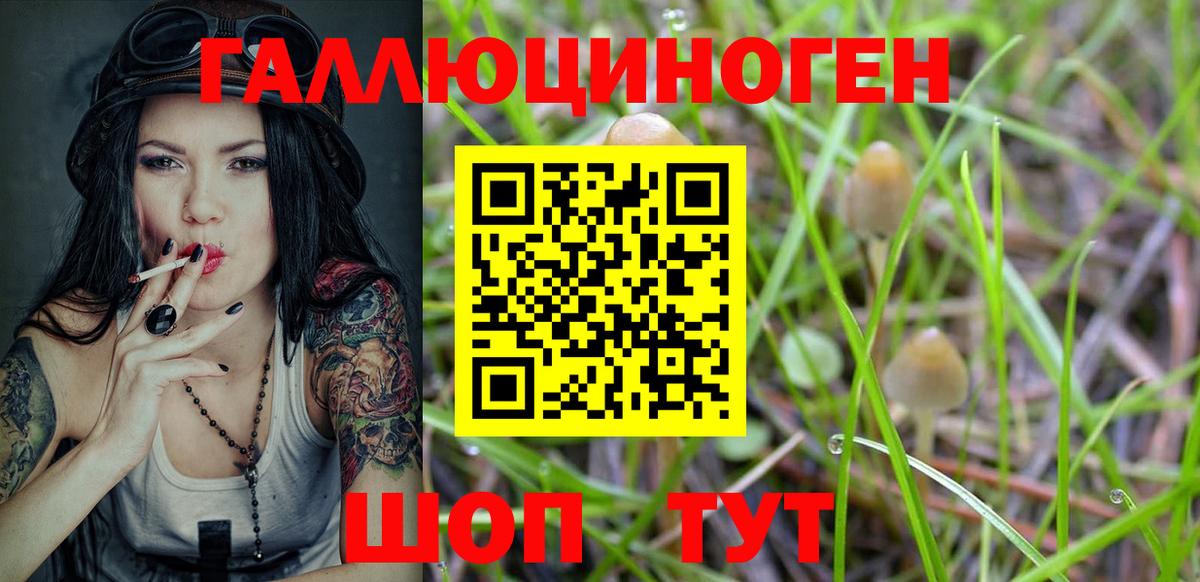 Коряжма  Псилоцибиновые грибы Psilocybine cubensis  купить  цена  Галлюциногенные грибы MAGIC MUSHROOMS  Вход с VPN 