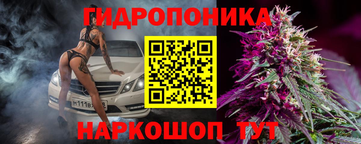 Бошки Шишки White Widow  Вход с VPN  Шишки марихуана MAZAR  Коряжма  МАРИХУАНА SATIVA & INDICA 